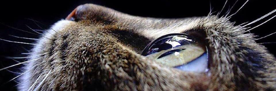 HSIXTYNINE's profile banner image