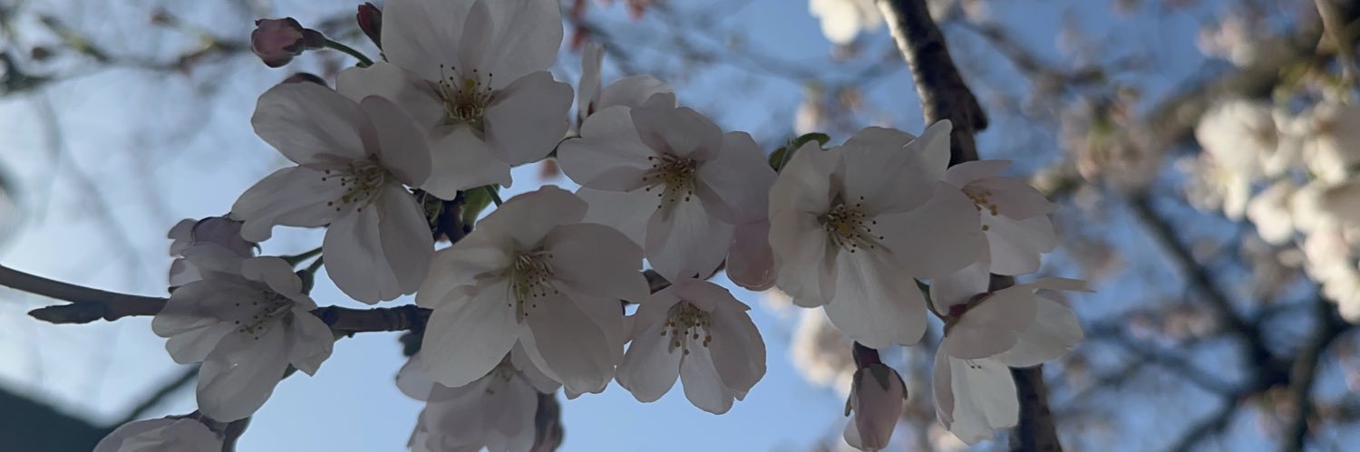 Mada Emmanuelle banner