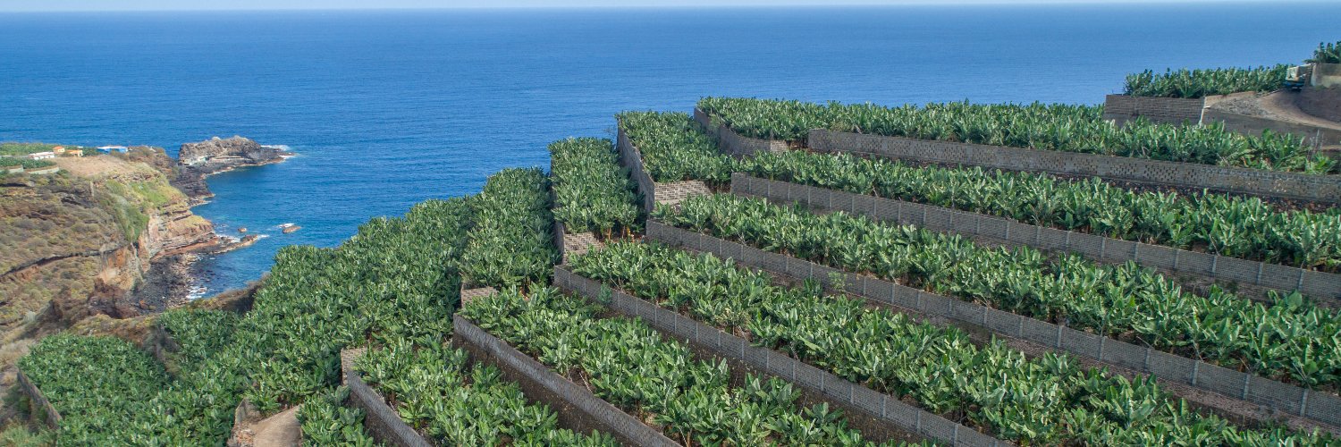 Asoc. de org de productores de Plátano de Canarias banner