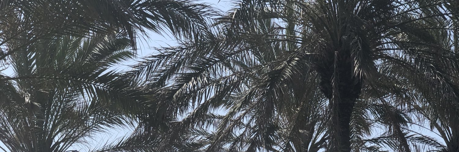 LineSofieH's profile banner image