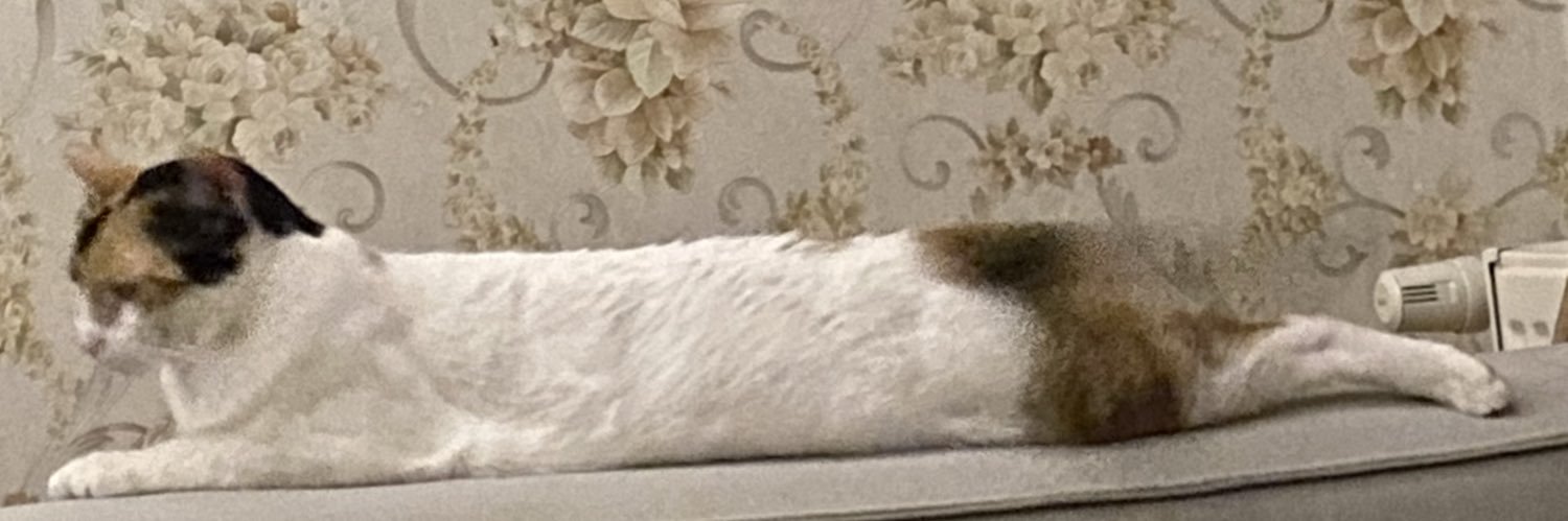 filiz banner