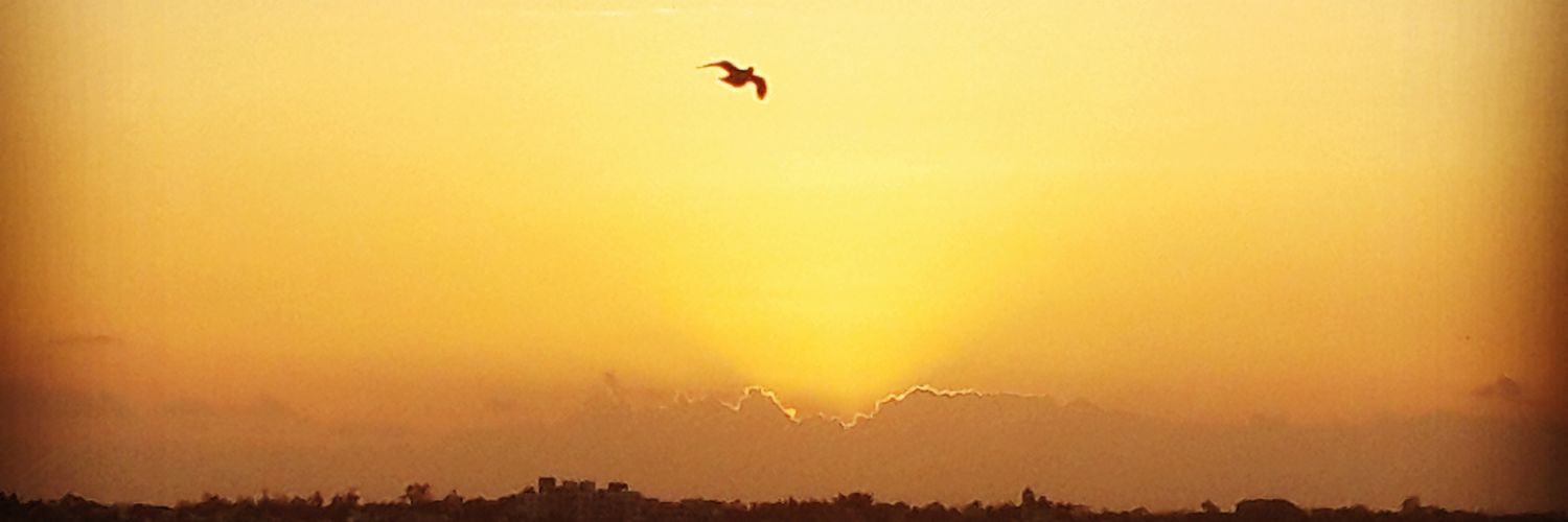 Vinitpardeshi's profile banner image