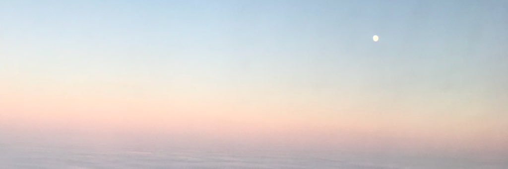 BirdStarling's profile banner image