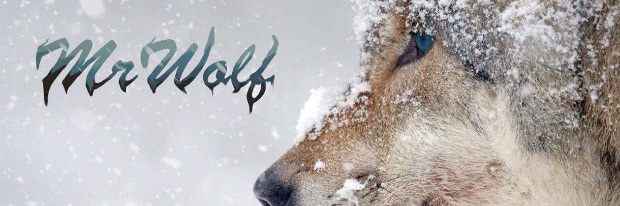 MWolfsters's profile banner image