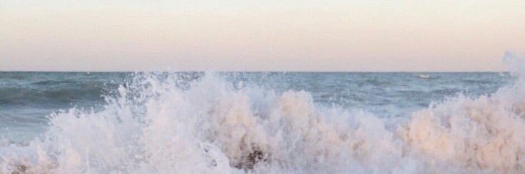 rose1128_'s profile banner image