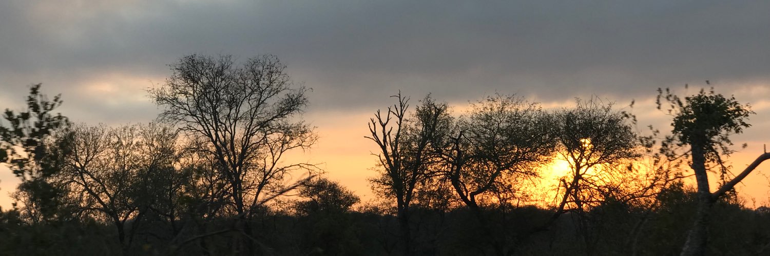 SkellernTracy's profile banner image