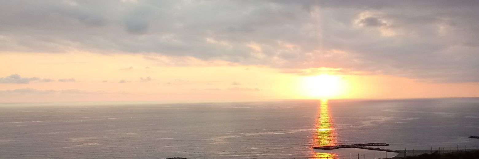 gioicaro's profile banner image