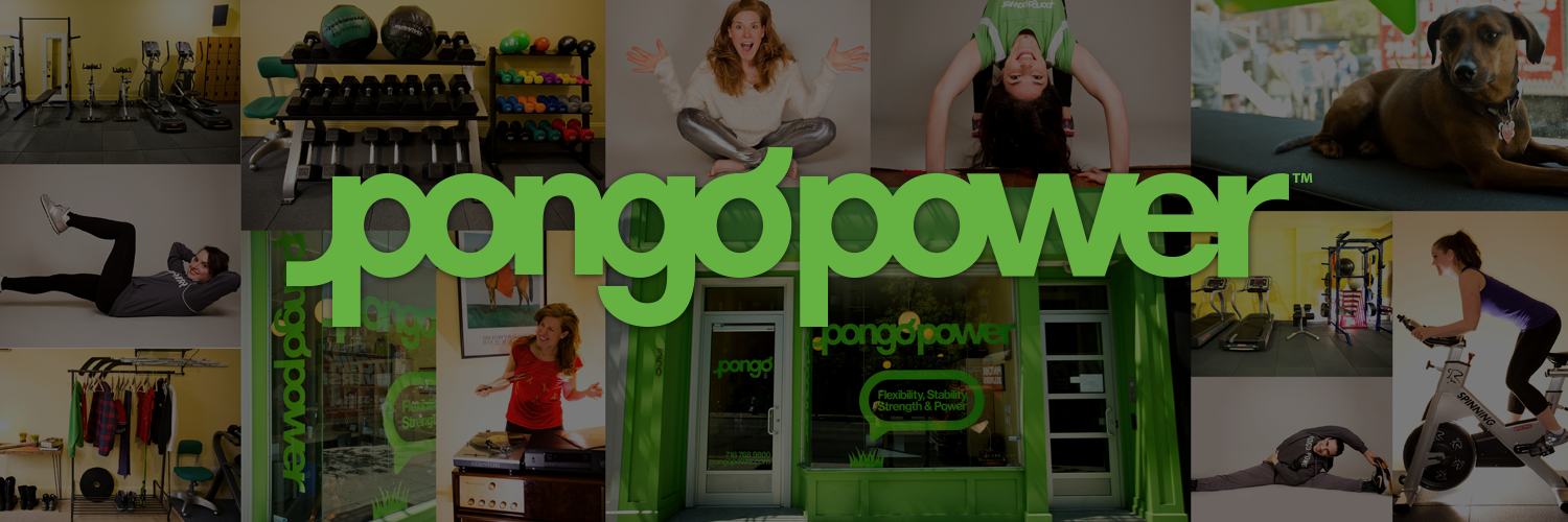 pongopower banner