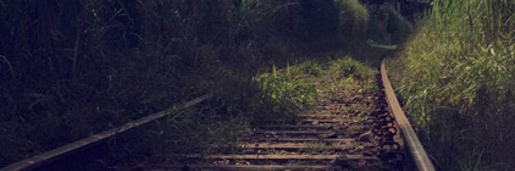 LeeO_NavarrO's profile banner image