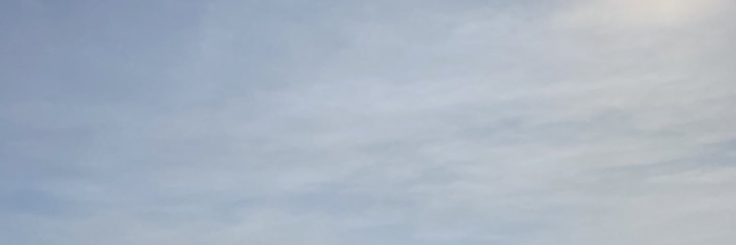 CallMeJiji's profile banner image