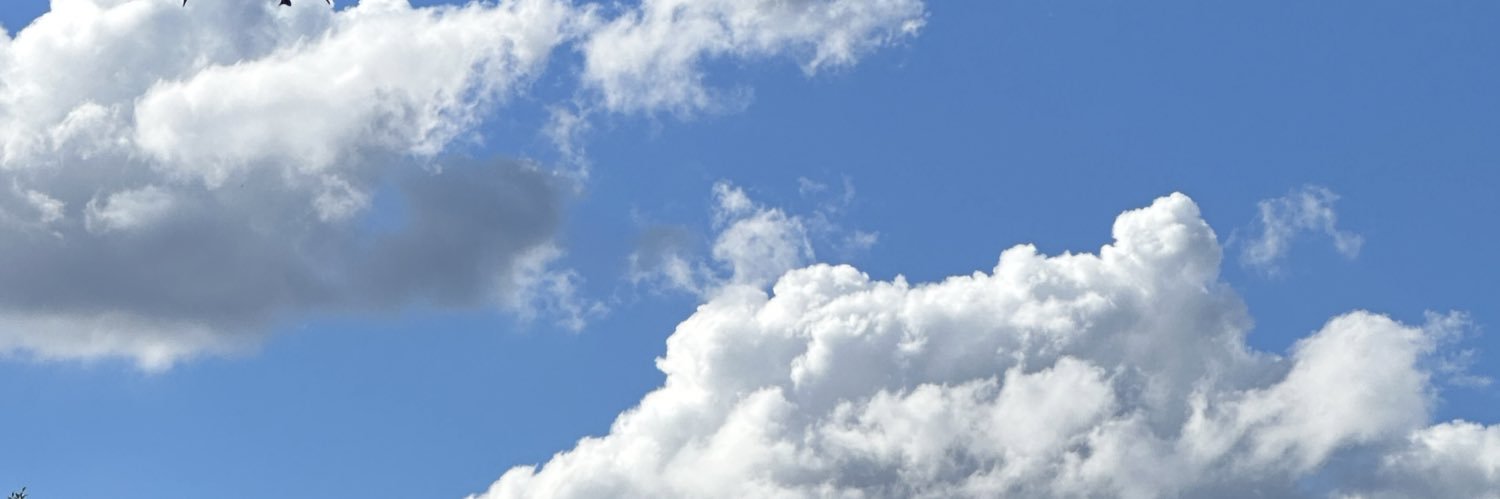 MayJiahuan's profile banner image