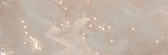 おこめ🌾 banner