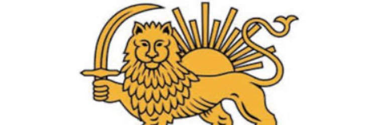 بونوبوی فکور 🙈🍑 banner