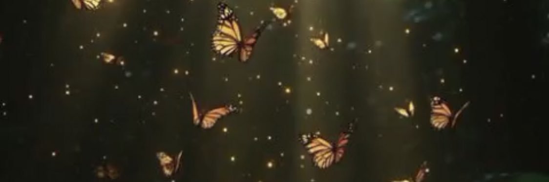 𝒫𝒽𝑜𝑒𝒷𝑒🌸💖 banner