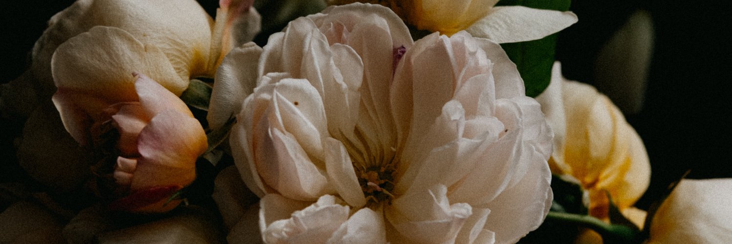 stephlisakelly's profile banner image