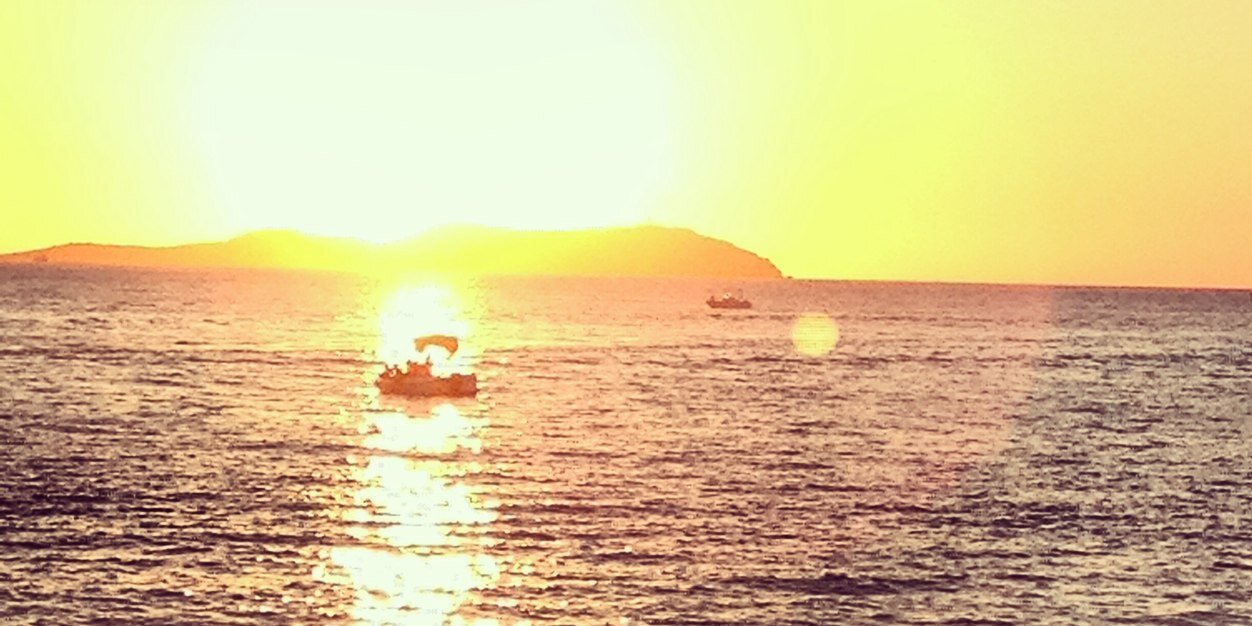 Sophie Thomas banner