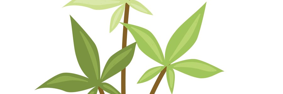 Medical Marijuana Consulting (MMC) banner