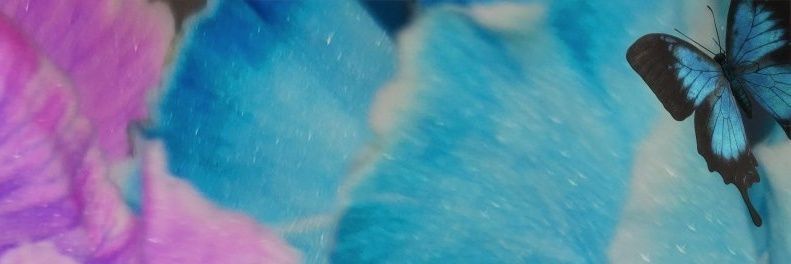 yano0729's profile banner image