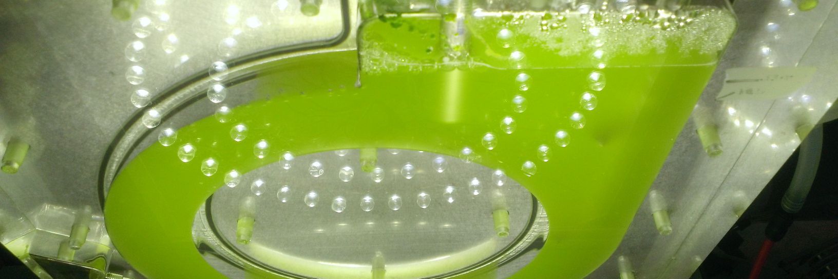 Pruvost Jeremy banner