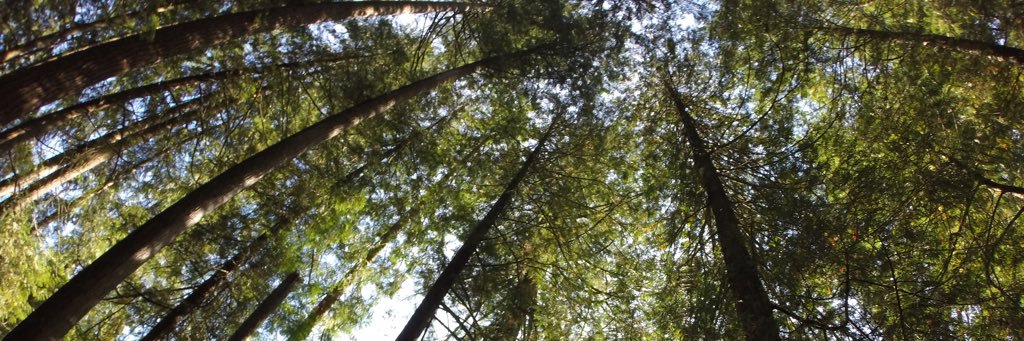 Itsjustplainme's profile banner image