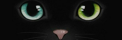 kadeapp's profile banner image