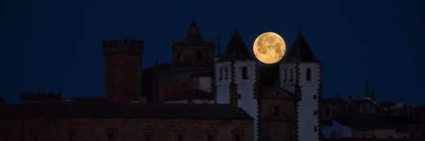 Silvia_6 Profile Banner