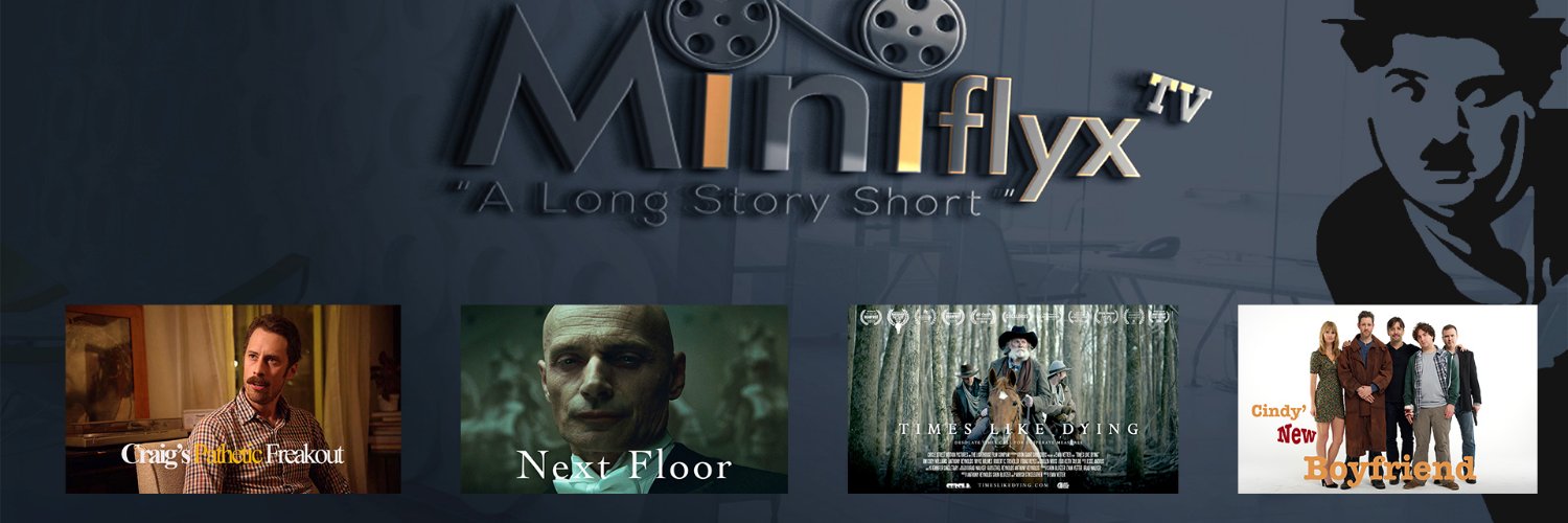 miniflyx's profile banner image
