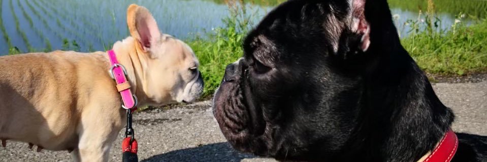 佐地@Tanpan&Branding Career banner