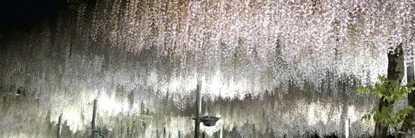 meme_TW Profile Banner