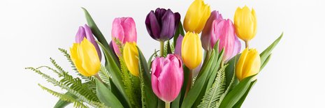 Eastern Floral banner