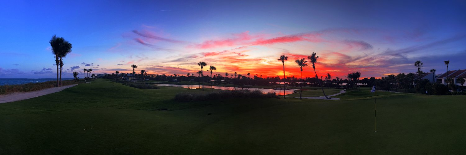 The Golf Project- Steven E. Greer, MD banner