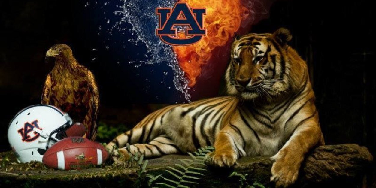 sandlin_k's profile banner image