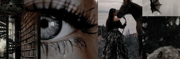 ayuyuay_'s profile banner image