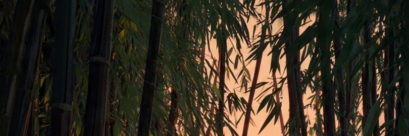 Don_PandaPanzon's profile banner image