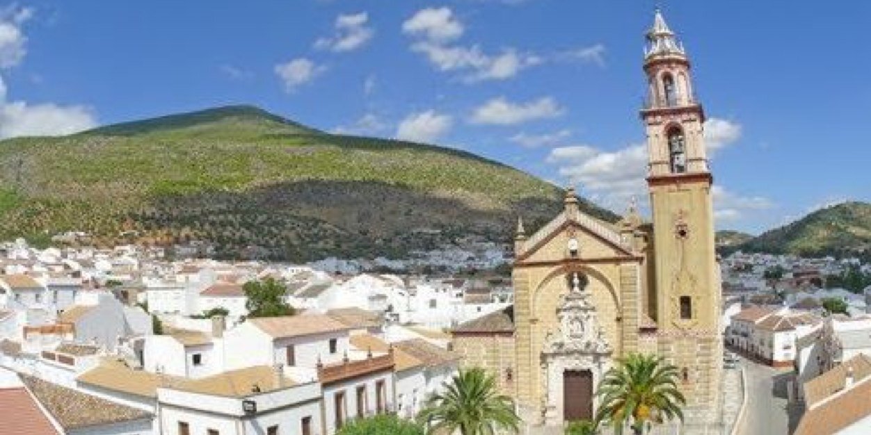 AYTO ALGODONALES banner