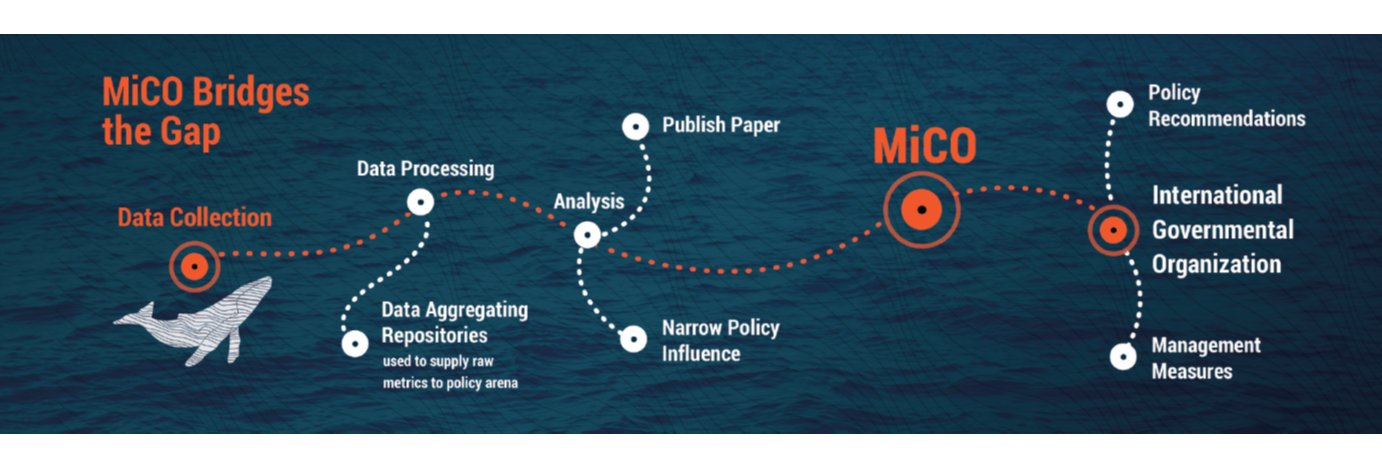 ExploreMiCO's profile banner image