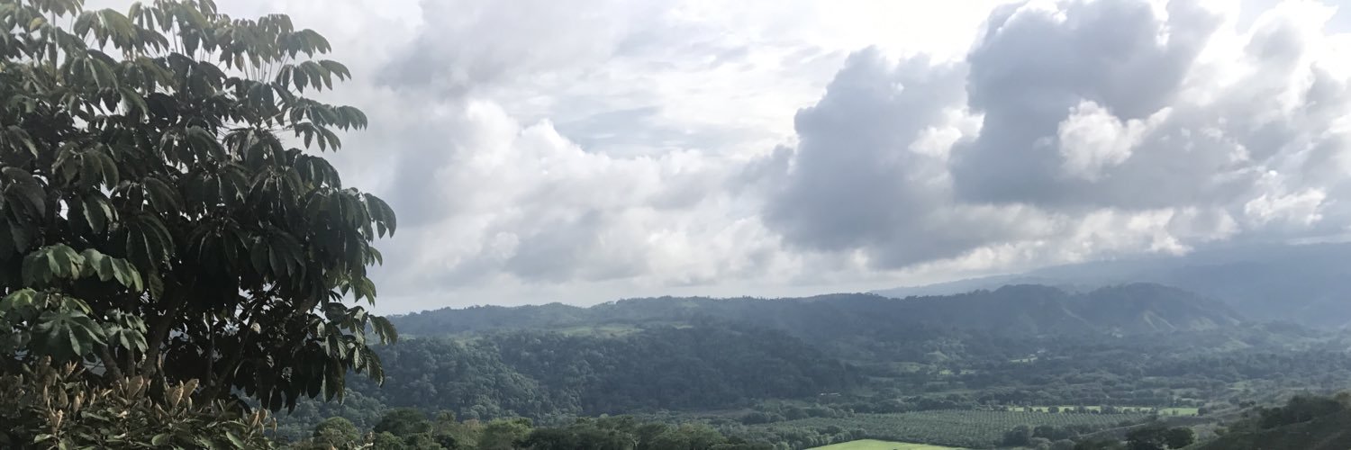 stpillow's profile banner image