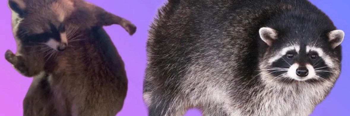 NickVsTheWorld banner