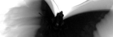 _mutedsoul_'s profile banner image