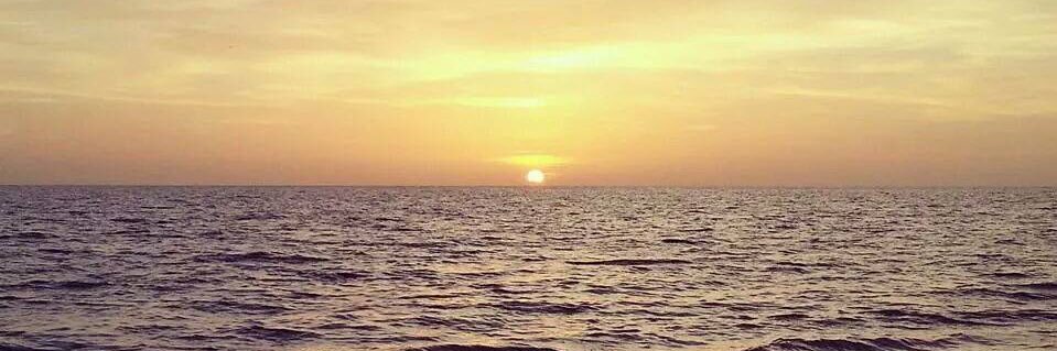 Michael George banner