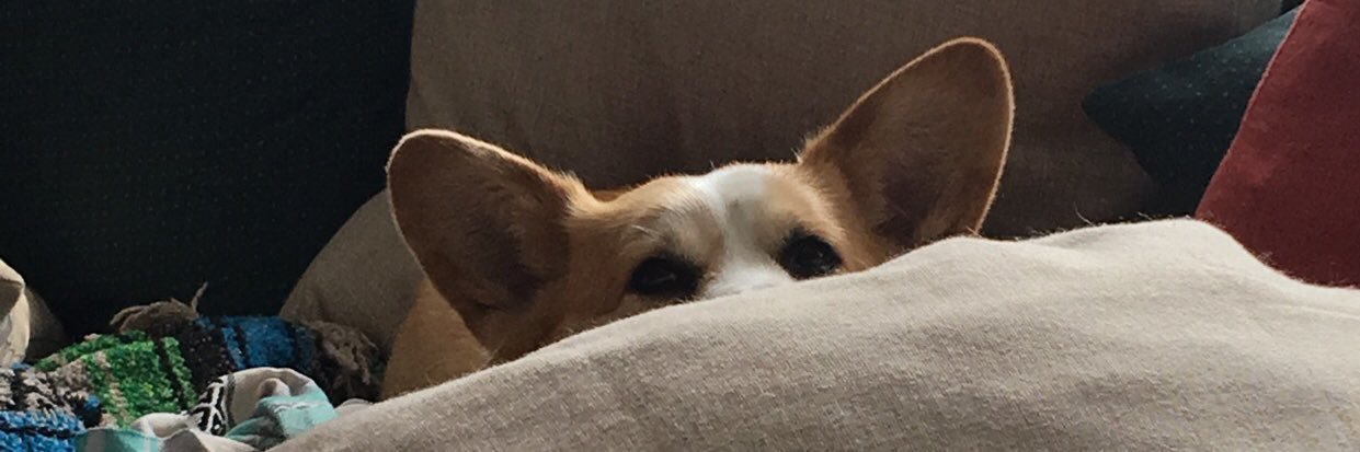 MrsIzzyB1's profile banner image