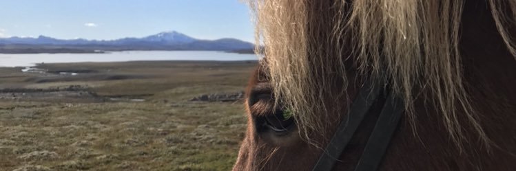 Raven7702's profile banner image