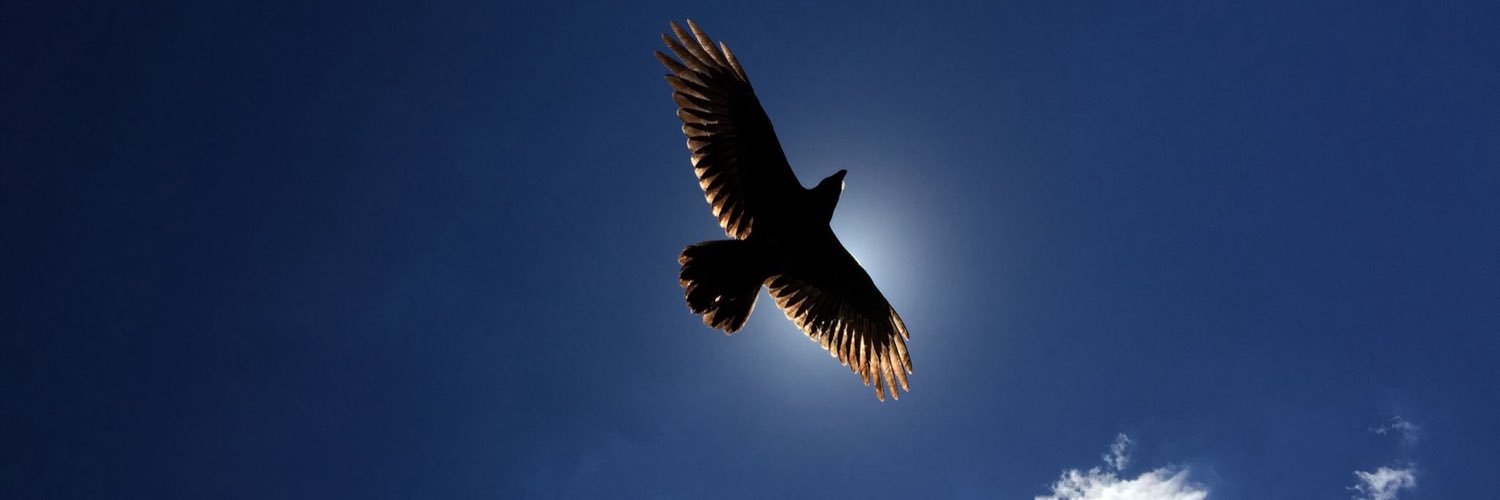 schad_stephanie's profile banner image