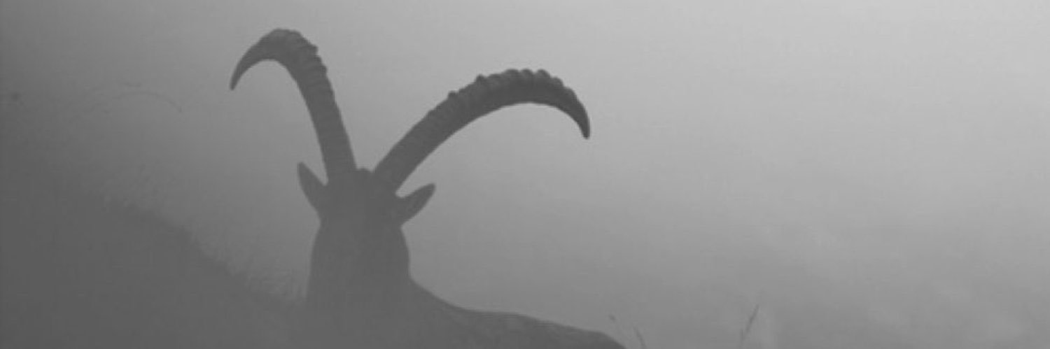 tobi_spellz's profile banner image