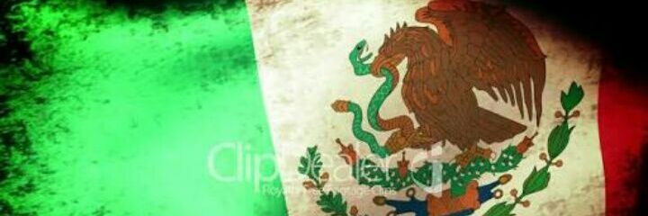 ADA77977's profile banner image