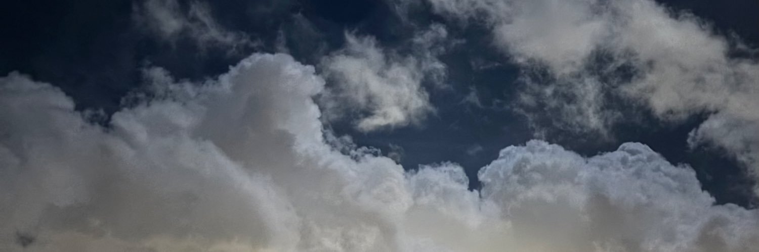 Art 💙 local lesbian banner