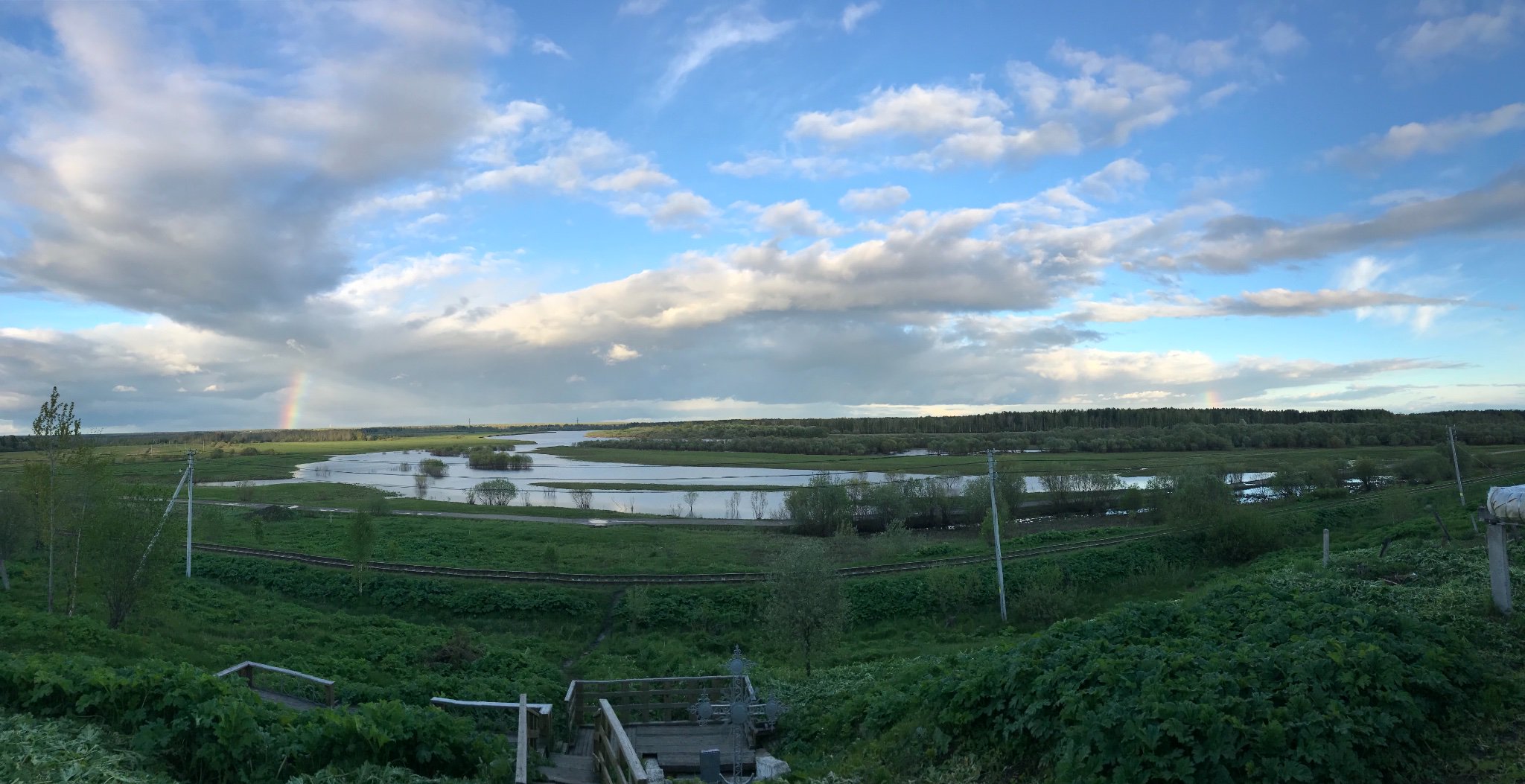 Stephanie Abarca banner