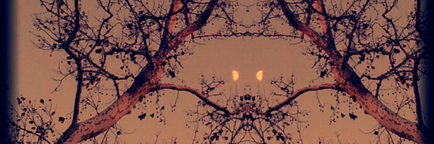 wolff's profile banner image