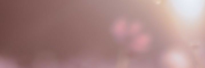 princessa_aria's profile banner image