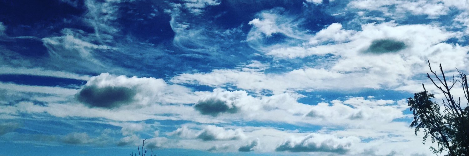 荷己🍩⛈ banner